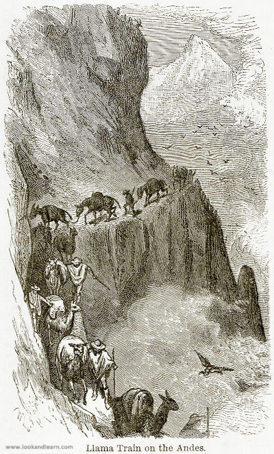 Llama Train on the Andes (Image Source: Look and Learn. Illustration from The World As It Is by George Chisholm (Blackie, 1884)