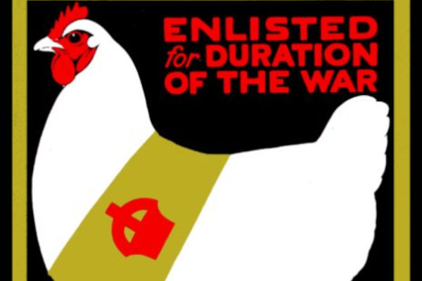 Part of a National Egg Collection poster from the First World War showing a hen and the words Enlisted for the duration of the war