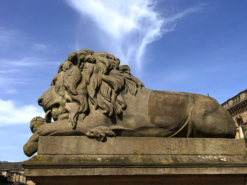 2025.68.45: Lion side profile. Digital image credit: Saltaire Collection