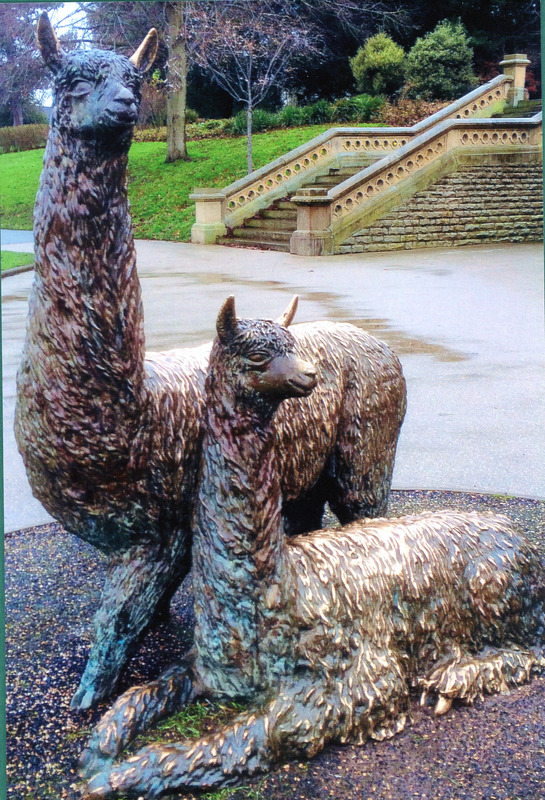 2020.12.2: Photograph of Alpacas. Image credit: Saltaire Collection