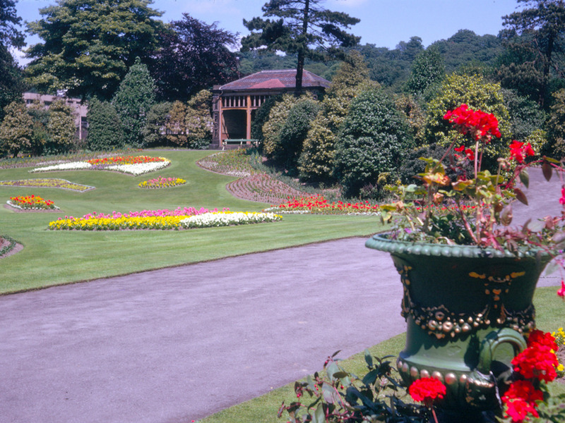 2025.68.121: Roberts Park flowers. Digital image credit: Saltaire Collection