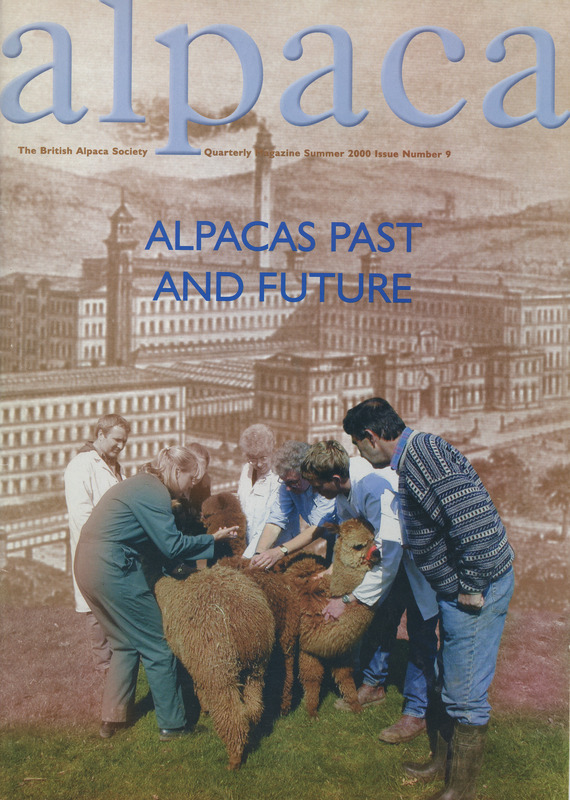 2024.88: Alpaca from the British Alpaca Society Issue 9 Summer 2000 Alpacas past and future. Image credit: Saltaire Collection