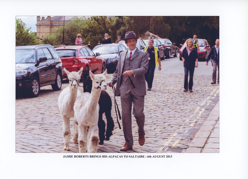 C2b-240: Jamie Roberts visit with alpacas: Page 4 - On Albert Terrace. Image credit: Saltaire Collection