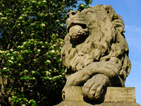 2025.68.40: Lion in the sun. Digital image credit: Saltaire Collection