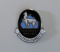 2022.82: Two Salts (Saltaire) Limited metal badges. Image credit: Saltaire Collection