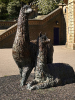 2025.68.111: Alpacas sculpture in Roberts Park. Digital image credit: Saltaire Collection
