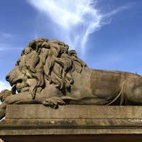2025.68.45: Lion side profile. Digital image credit: Saltaire Collection