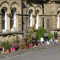 2025.68.112: Saltaire Almhouses plants. Digital image credit: Saltaire Collection
