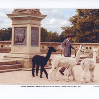 C2b-240: Jamie Roberts visit with alpacas: Page 9 - In Roberts Park near Sir Titus's statue. Image credit: Saltaire Collection