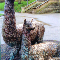 2020.12.2: Photograph of Alpacas. Image credit: Saltaire Collection