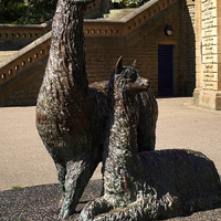 2025.68.111: Alpacas sculpture in Roberts Park. Digital image credit: Saltaire Collection