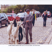 C2b-240: Jamie Roberts visit with alpacas: Page 4 - On Albert Terrace. Image credit: Saltaire Collection